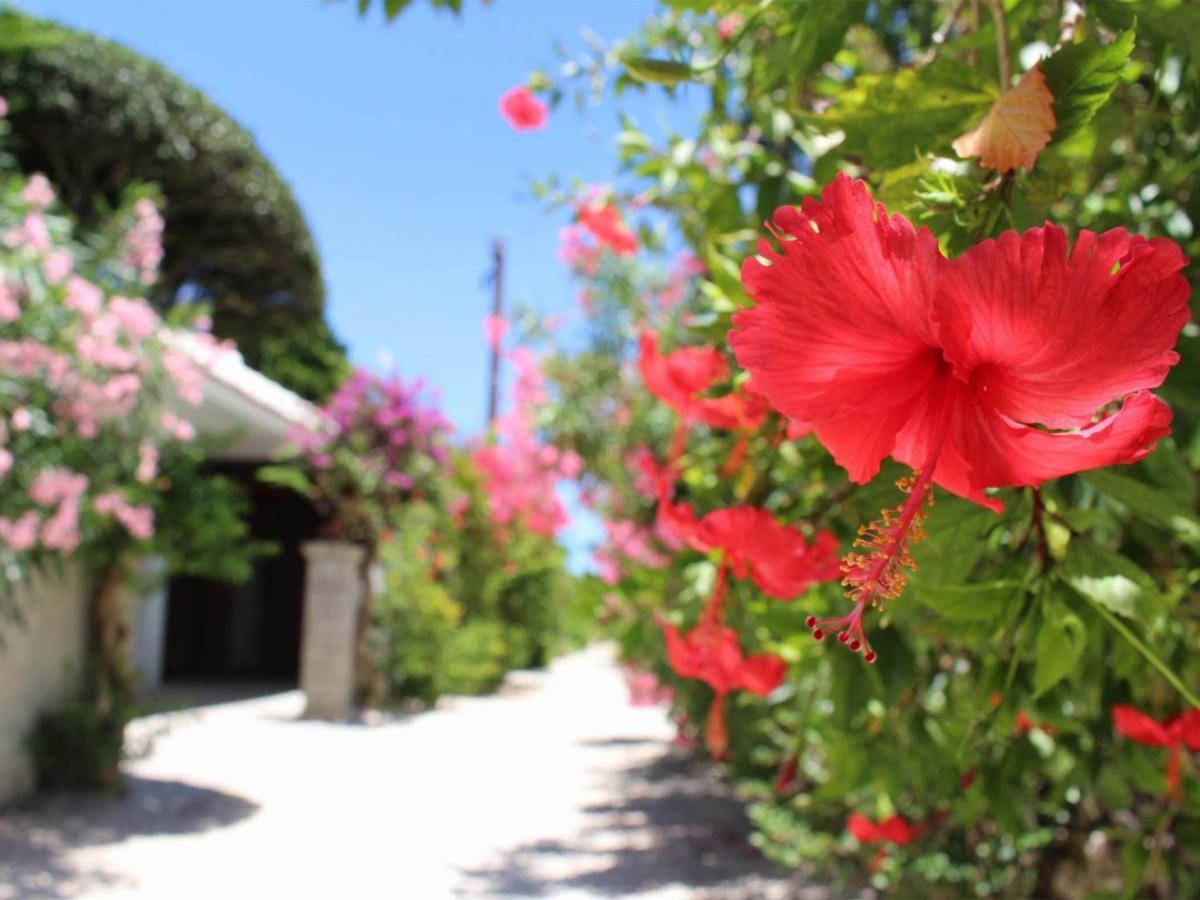 The Avance Hotel Ishigakijima - Vacation Stay 85735V Ishigaki  Exterior foto
